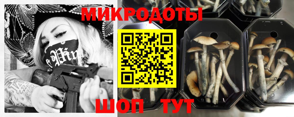 Псилоцибиновые грибы мухоморы Надым